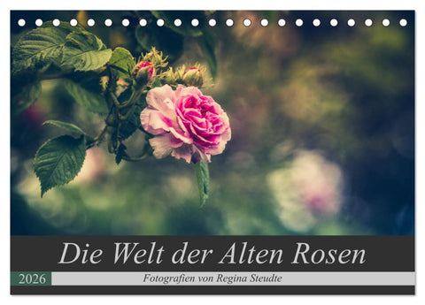 Die Welt der Alten Rosen (Tischkalender 2026 DIN A5 quer), CALVENDO Monatskalender