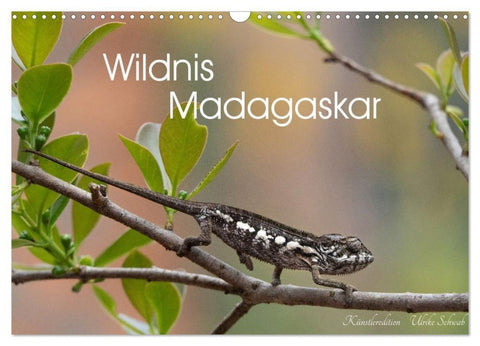 Wildnis Madagaskar (Wandkalender 2027 DIN A3 quer), CALVENDO Monatskalender