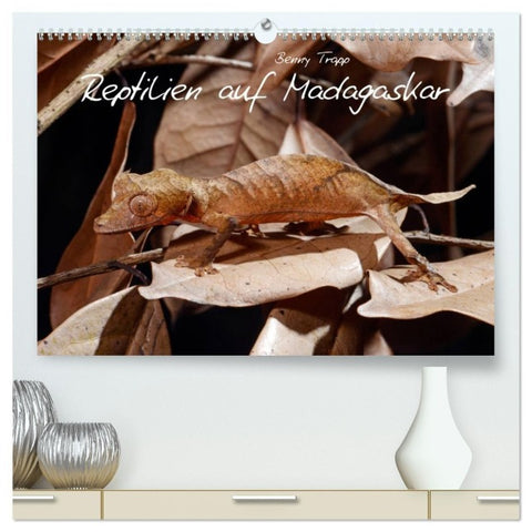 Reptilien auf Madagaskar (hochwertiger Premium Wandkalender 2027 DIN A2 quer), Kunstdruck in Hochglanz