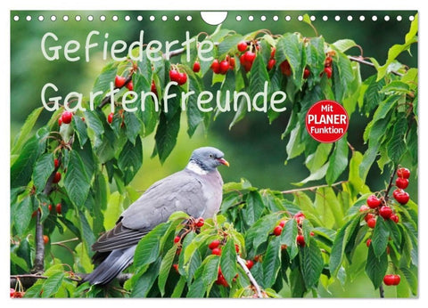 Gefiederte Gartenfreunde (Wandkalender 2027 DIN A4 quer), CALVENDO Monatskalender