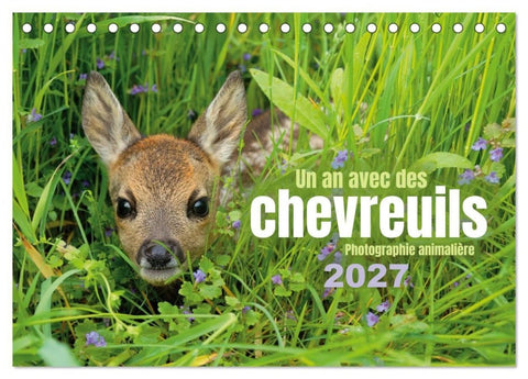 Un an avec des chevreuils (Calendrier de bureau 2027 DIN A5 vertical), CALVENDO calendrier mensuel