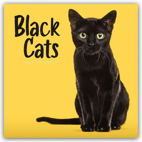 Black Cats – Schwarze Katzen 2027 – Wand-Kalender