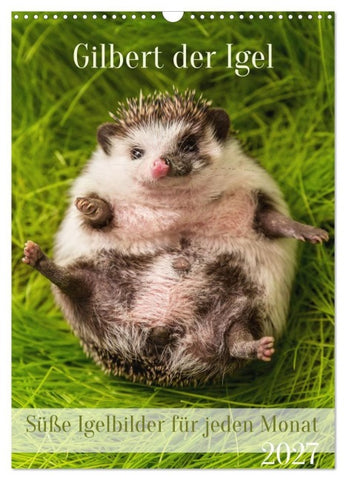 Gilbert der Igel (Wandkalender 2027 DIN A3 hoch), CALVENDO Monatskalender