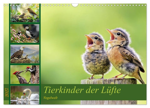 Tierkinder der Lüfte - Vogelwelt (Wandkalender 2027 DIN A3 quer), CALVENDO Monatskalender
