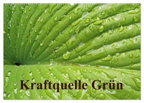 Kraftquelle Grün (Wandkalender 2027 DIN A2 quer), CALVENDO Monatskalender