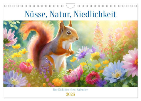Der Eichhörnchen-Kalender (Wandkalender 2026 DIN A4 quer), CALVENDO Monatskalender