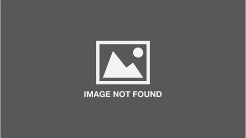 Scientology: Die Grundlagen des Denkens