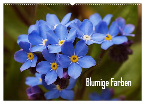 Blumige Farben (Wandkalender 2027 DIN A2 quer), CALVENDO Monatskalender