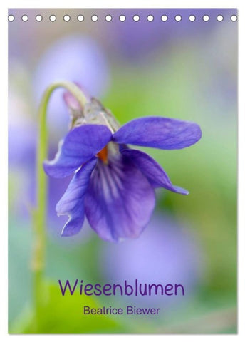 Wiesenblumen (Tischkalender 2027 DIN A5 hoch), CALVENDO Monatskalender