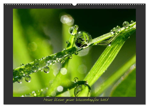 Meine kleine grüne Wassertropfen Welt (Wandkalender 2026 DIN A2 quer), CALVENDO Monatskalender