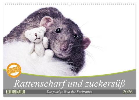 Rattenscharf und zuckersüß (Wandkalender 2026 DIN A2 quer), CALVENDO Monatskalender