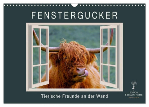 Fenstergucker - tierische Freunde an der Wand (Wandkalender 2027 DIN A3 quer), CALVENDO Monatskalender