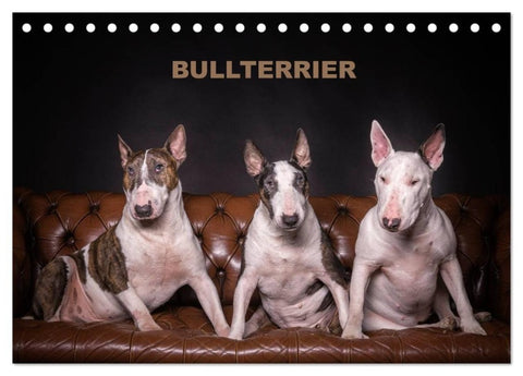 Bullterrier (Tischkalender 2027 DIN A5 quer), CALVENDO Monatskalender