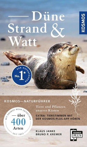 Düne, Strand und Watt
