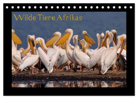 Wilde Tiere Afrikas (Tischkalender 2027 DIN A5 quer), CALVENDO Monatskalender