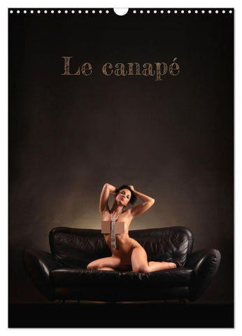 Le canapé (Calendrier mural 2027 DIN A3 horizontal), CALVENDO calendrier mensuel