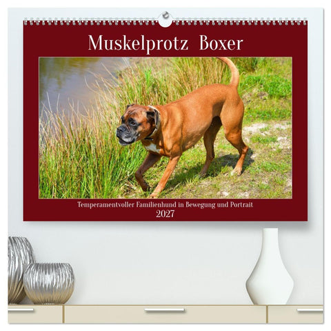 Muskelprotz Boxer (hochwertiger Premium Wandkalender 2027 DIN A2 quer), Kunstdruck in Hochglanz