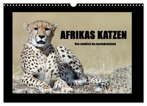 Afrikas Katzen (Wandkalender 2027 DIN A3 quer), CALVENDO Monatskalender