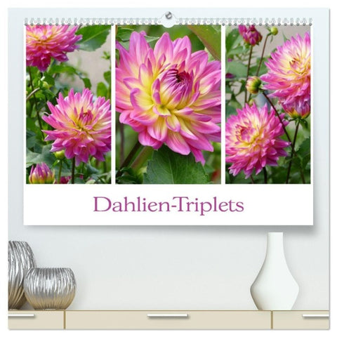 Dahlien-Triplets (hochwertiger Premium Wandkalender 2027 DIN A2 quer), Kunstdruck in Hochglanz
