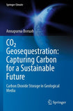 CO2 Geosequestration: Capturing Carbon for a Sustainable Future