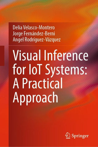 Visual Inference for IoT Systems: A Practical Approach