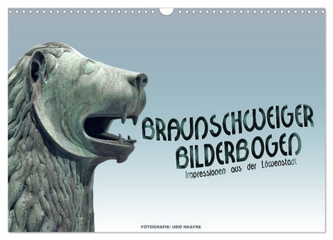Braunschweiger Bilderbogen (Wandkalender 2027 DIN A3 quer), CALVENDO Monatskalender