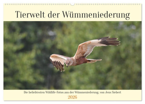 Tierwelt der Wümmeniederung (Wandkalender 2026 DIN A2 quer), CALVENDO Monatskalender