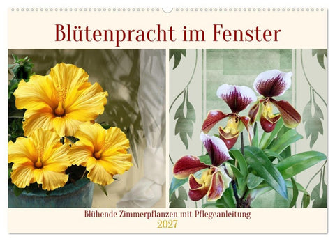 Blütenpracht am Fenster (Wandkalender 2027 DIN A2 quer), CALVENDO Monatskalender