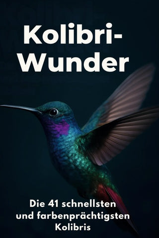 Kolibri-Wunder