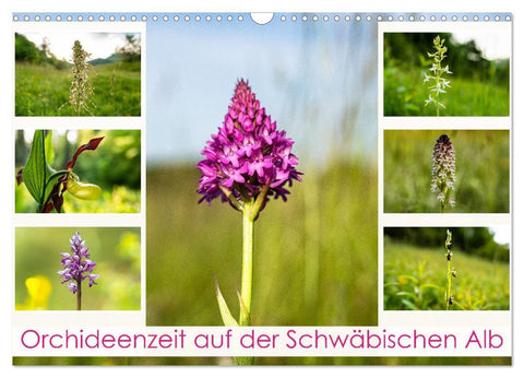 Orchideenzeit auf der Schwäbischen Alb (Wandkalender 2027 DIN A3 quer), CALVENDO Monatskalender