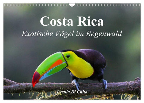 Costa Rica - Exotische Vögel im Regenwald (Wandkalender 2026 DIN A3 quer), CALVENDO Monatskalender