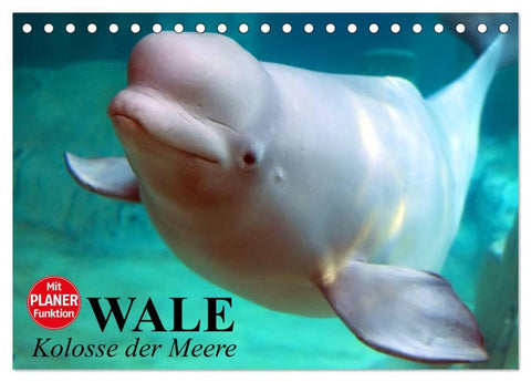 Wale. Kolosse der Meere (Tischkalender 2026 DIN A5 quer), CALVENDO Monatskalender