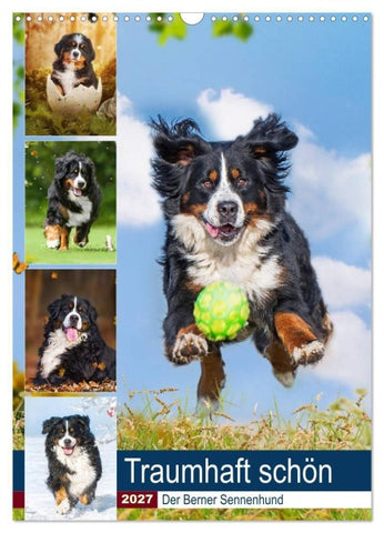 Traumhaft schön - Der Berner Sennenhund (Wandkalender 2027 DIN A3 hoch), CALVENDO Monatskalender