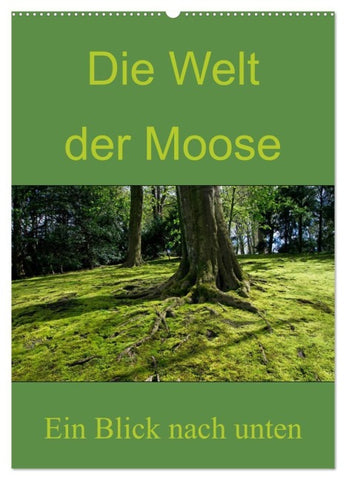 Die Welt der Moose. Ein Blick nach unten (Wandkalender 2027 DIN A2 hoch), CALVENDO Monatskalender
