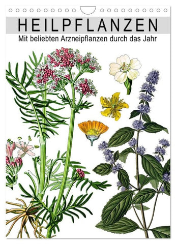 Heilpflanzen (Wandkalender 2027 DIN A4 hoch), CALVENDO Monatskalender