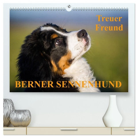 Treuer Freund Berner Sennenhund (hochwertiger Premium Wandkalender 2027 DIN A2 quer), Kunstdruck in Hochglanz
