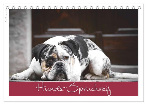 Hunde-Spruchreif (Tischkalender 2027 DIN A5 quer), CALVENDO Monatskalender