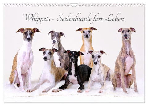 Whippets - Seelenhunde fürs Leben (Wandkalender 2027 DIN A3 quer), CALVENDO Monatskalender