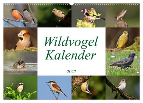 Wildvogelkalender (Wandkalender 2027 DIN A2 quer), CALVENDO Monatskalender