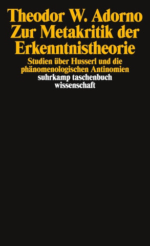 Zur Metakritik der Erkenntnistheorie