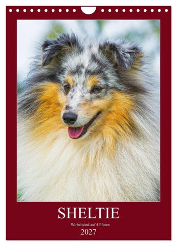 Sheltie - Wirbelwind auf 4 Pfoten (Wandkalender 2027 DIN A4 hoch), CALVENDO Monatskalender