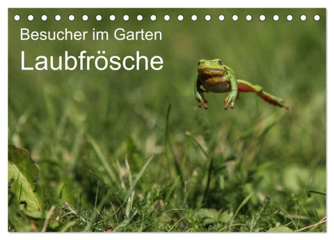 Besucher im Garten - Laubfrösche (Tischkalender 2026 DIN A5 quer), CALVENDO Monatskalender