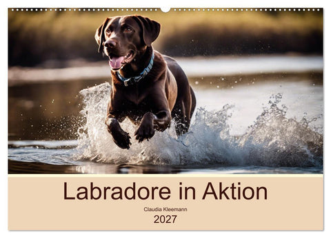 Labradore in Aktion (Wandkalender 2027 DIN A2 quer), CALVENDO Monatskalender