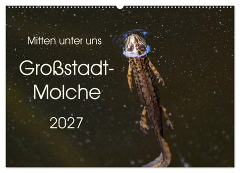 Mitten unter uns - Großstadt-Molche (Wandkalender 2027 DIN A2 quer), CALVENDO Monatskalender