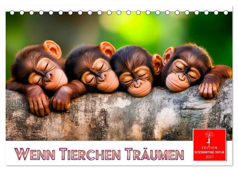 Wenn Tierchen träumen (Tischkalender 2027 DIN A5 quer), CALVENDO Monatskalender