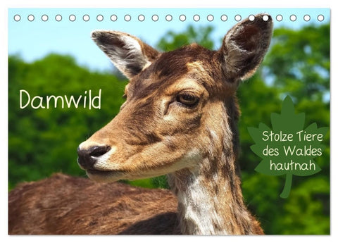 Damwild - stolze Tiere des Waldes hautnah (Tischkalender 2027 DIN A5 quer), CALVENDO Monatskalender
