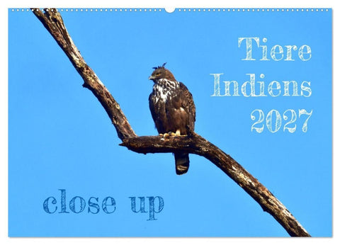Tiere Indiens close up (Wandkalender 2027 DIN A2 quer), CALVENDO Monatskalender