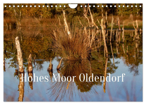 Hohes Moor Oldendorf (Wandkalender 2027 DIN A4 quer), CALVENDO Monatskalender
