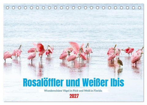 Rosalöffler und weißer Ibis (Tischkalender 2027 DIN A5 quer), CALVENDO Monatskalender