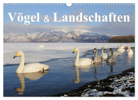 Vögel & Landschaften (Wandkalender 2027 DIN A3 quer), CALVENDO Monatskalender